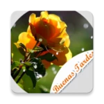 Logo of Stickers de Buenas Tardes con Flores android Application 